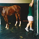 Wash stall mats
